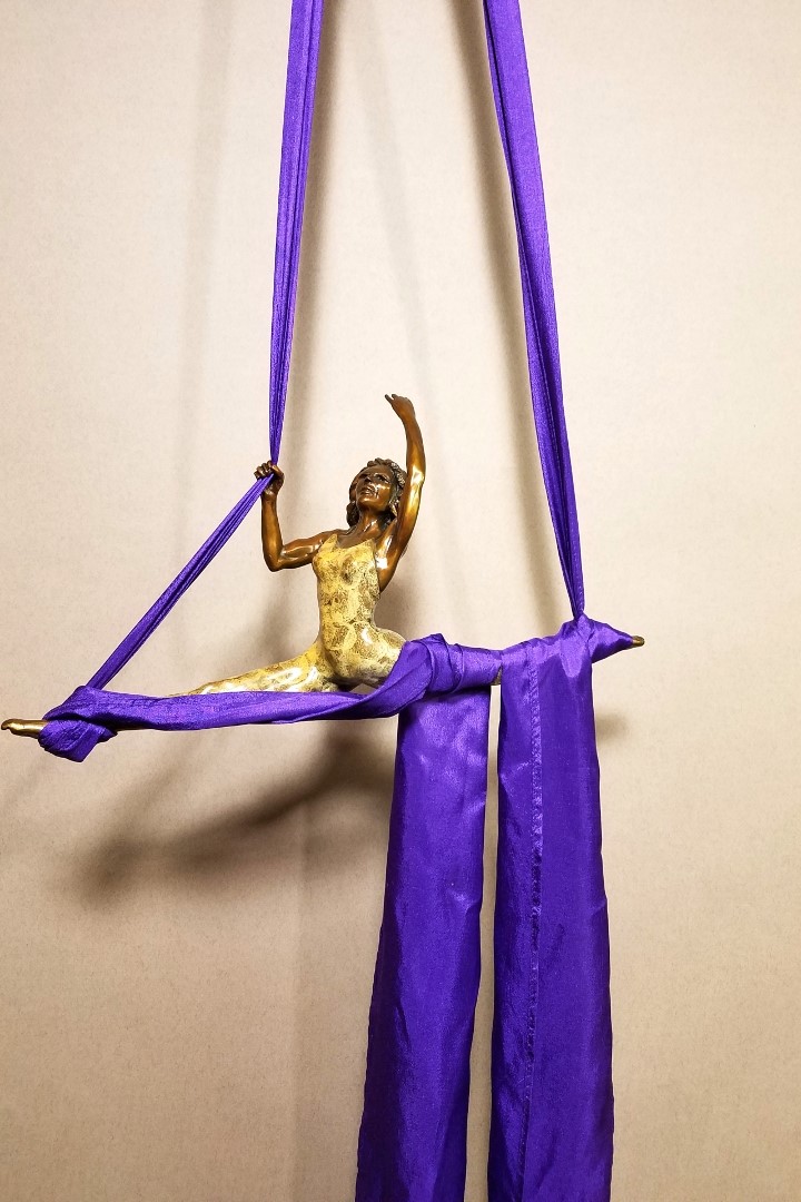 FL120 Aerial Silks - Purple $675 at Hunter Wolff Gallery